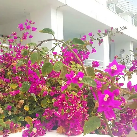 Pearl Apartmán Puerto del Carmen (Lanzarote)