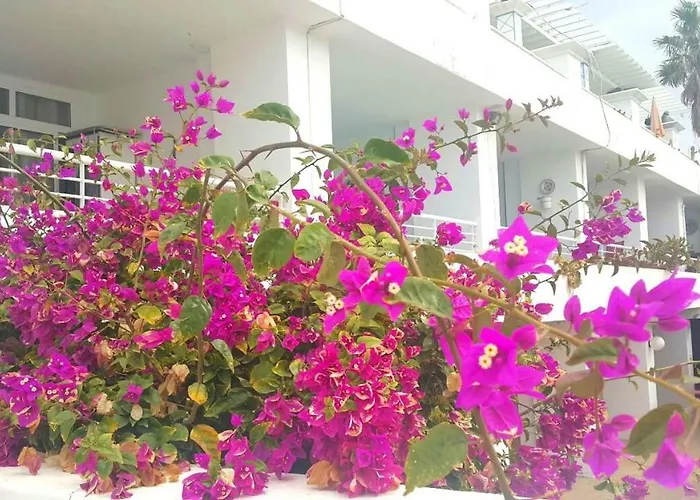 Pearl Apartmán Puerto del Carmen (Lanzarote)